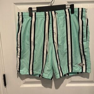 PacSun men’s swim shorts size large